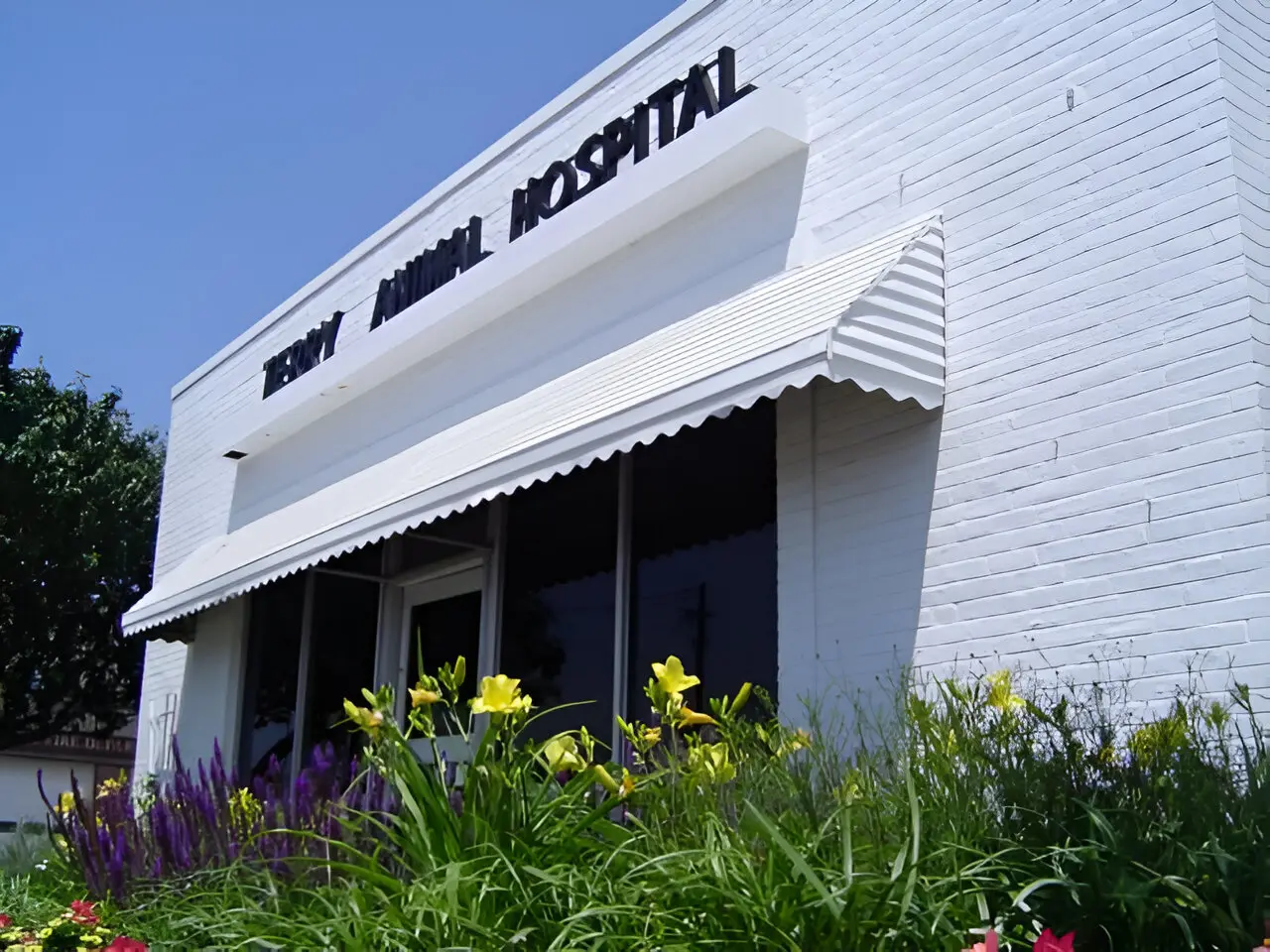 Terry Animal Hospital